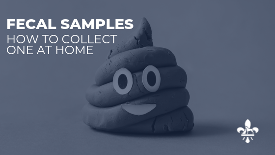 Collecting a Fecal Sample at Home
