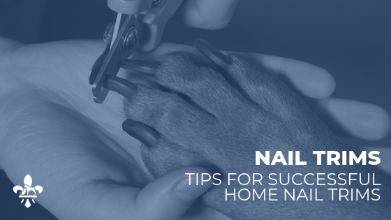 Nail Trim Tips