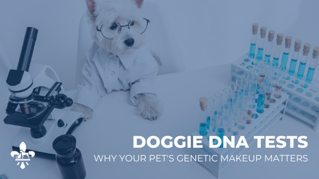 Genetic Health Testing for Dogs